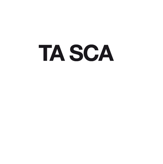 alea fashion industries